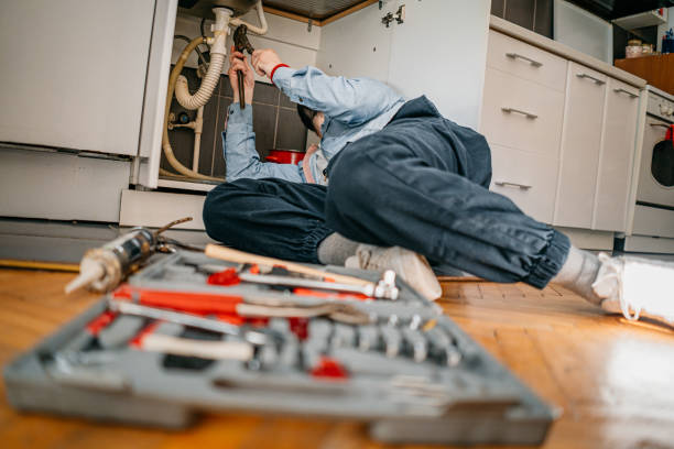 Best Plumbing Inspection Services  in New Tazewell, TN