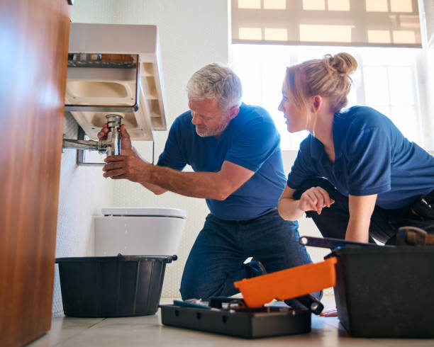 Best Local Plumber Services  in New Tazewell, TN